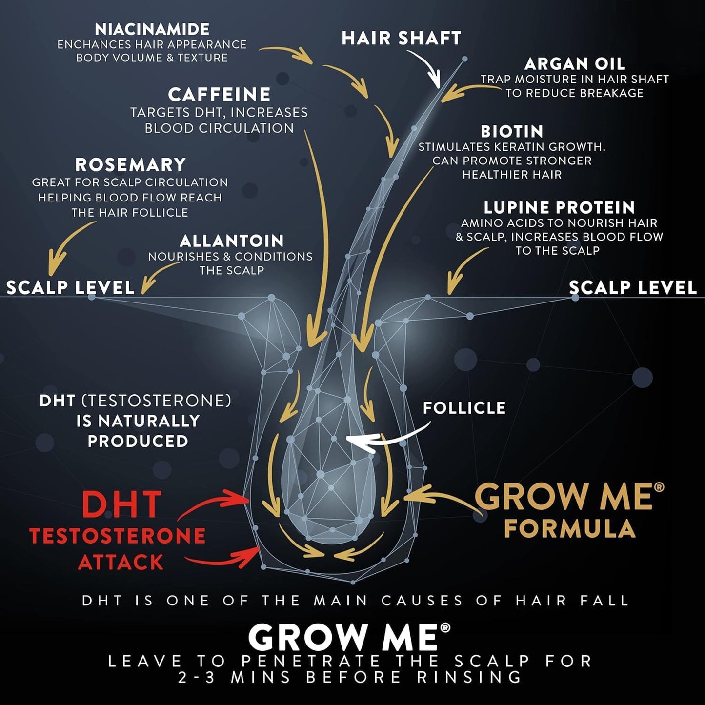 Watermans Grow Me® Hair Growth Shampoo - Not just a Caffeine Shampoo we include Biotin, Argan Oil, Rosemary, Niacinamide. Hair Thickening Treatment for Women & Men with progressed thinning.