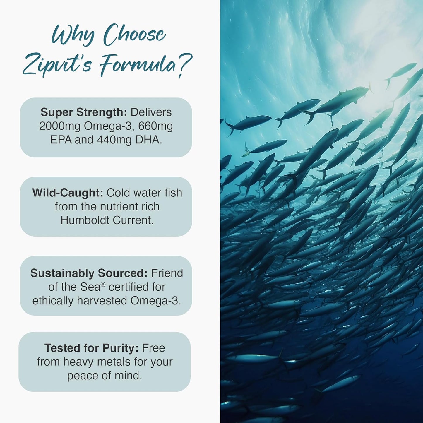Zipvit Omega 3 Fish Oil 2000mg, EPA 660mg DHA 440mg, Wild-Caught, Cold Water Fish, Supports Heart, Brain & Vision, 120 Softgels, 2 Months Supply, Eco-Friendly Pouch