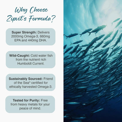 Zipvit Omega 3 Fish Oil 2000mg, EPA 660mg DHA 440mg, Wild-Caught, Cold Water Fish, Supports Heart, Brain & Vision, 120 Softgels, 2 Months Supply, Eco-Friendly Pouch