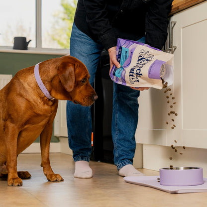 Pooch & Mutt - Health & Digestion, Complete Dry Dog Food (Grain Free), Salmon and Sweet Potato, 2kg