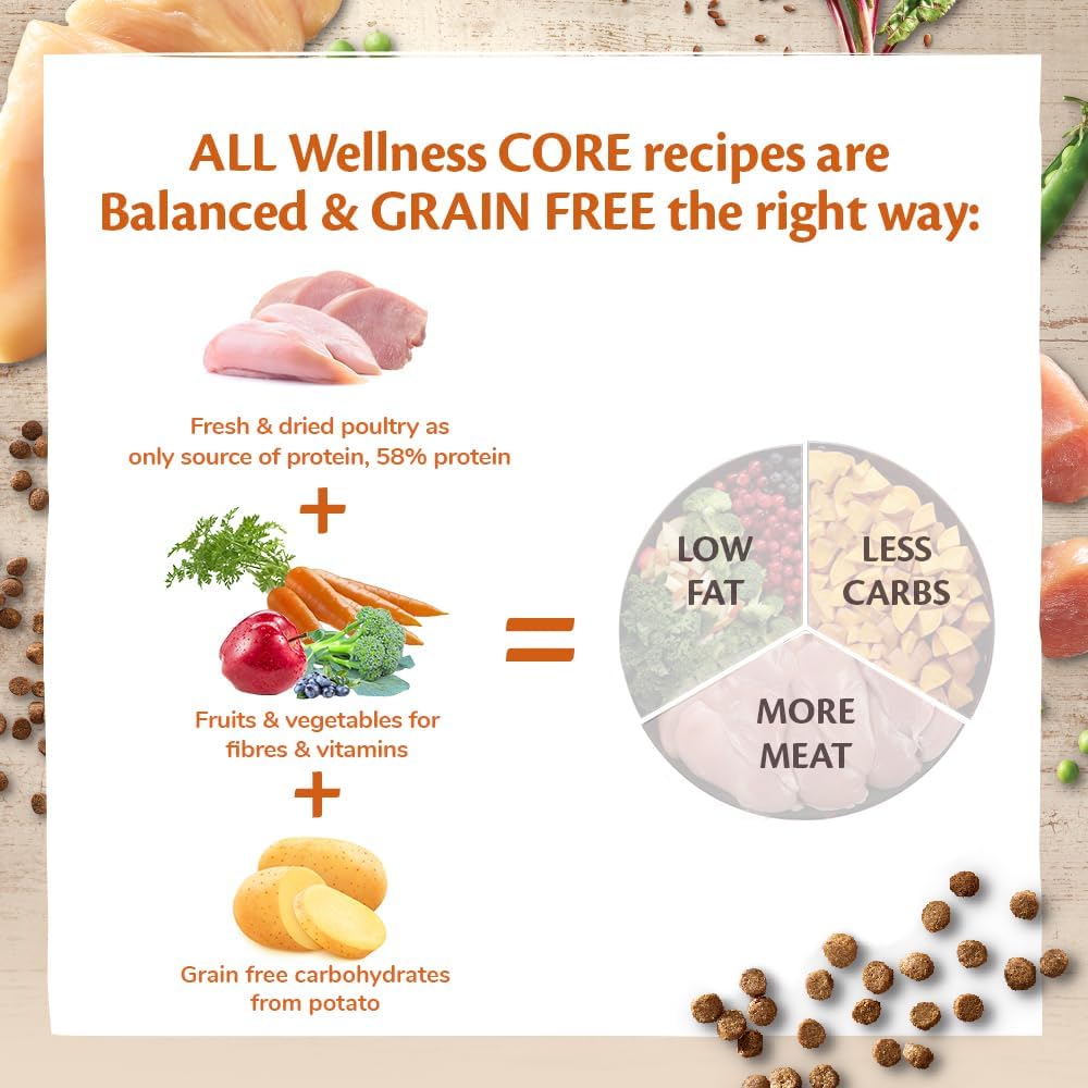 Wellness CORE Kitten 1.75 kg, Turkey & Chicken – Dry Cat Food for Kittens, Grain-Free, Natural, Hypoallergenic, Protein-Rich, High Meat Content, Supports Brain & Eye Development