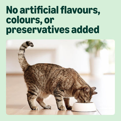 Complete Dry Cat Food with Salmon, Tuna and Vegetables
