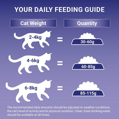 PURINA ONE Chicken Dry Cat Food 6kg