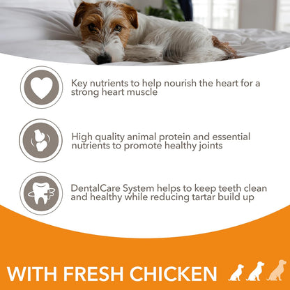 IAMS Senior Small Medium Complete Dry Dog Food Chicken 12kg - With DentalCare System