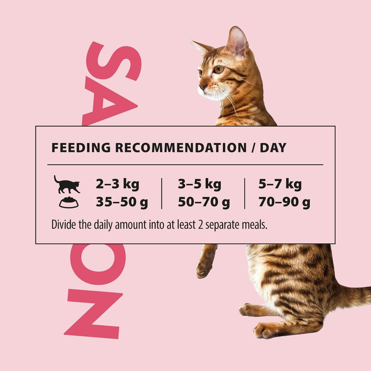 PrimaCat - Complete Dry Salmon Flavoured Cat Food, Indoor Adult Cat Food, 400g- Amazon Exclusive