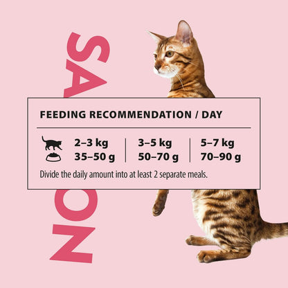 PrimaCat - Complete Dry Salmon Flavoured Cat Food, Indoor Adult Cat Food, 400g- Amazon Exclusive
